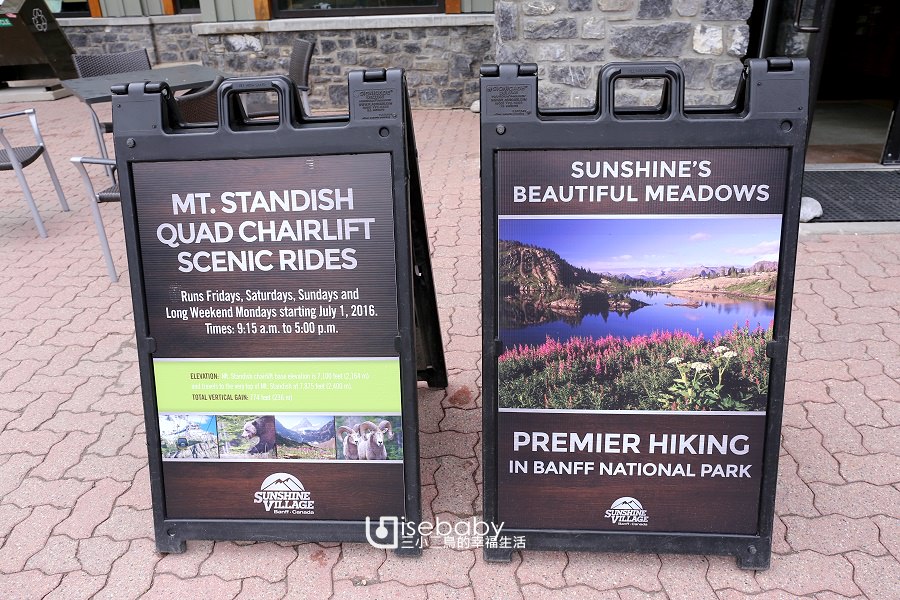 加拿大 | Lonely Planet健行步道推薦第一名。Sunshine Meadow日光草原