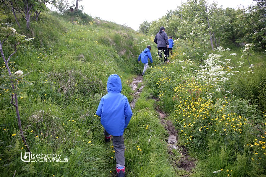 挪威羅浮敦群島 | 不爬Reinebringen步道的替代提案。Olenilsøya kystfort
