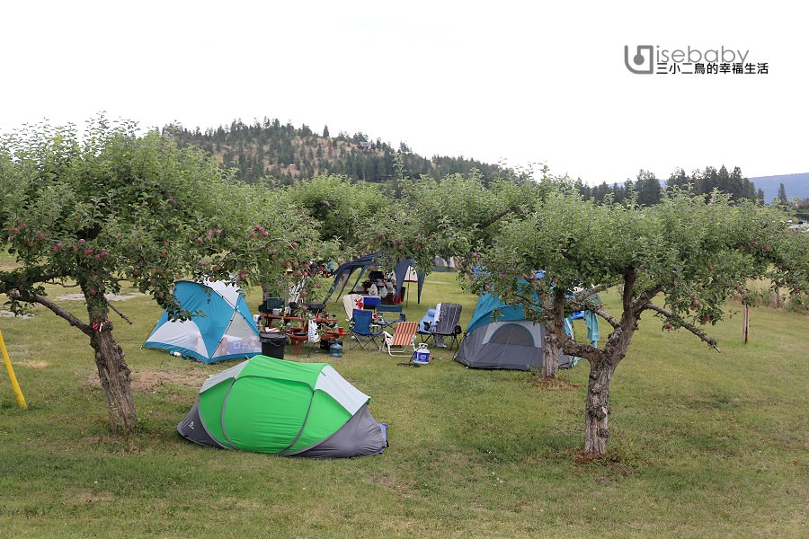 加拿大露營 | 搭帳在蘋果樹下。Apple Valley Orchard & RV Park