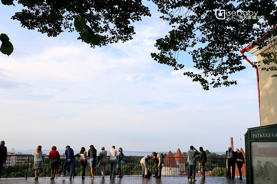 愛沙尼亞 | 眺望首都塔林舊城美景最佳的3大觀景台