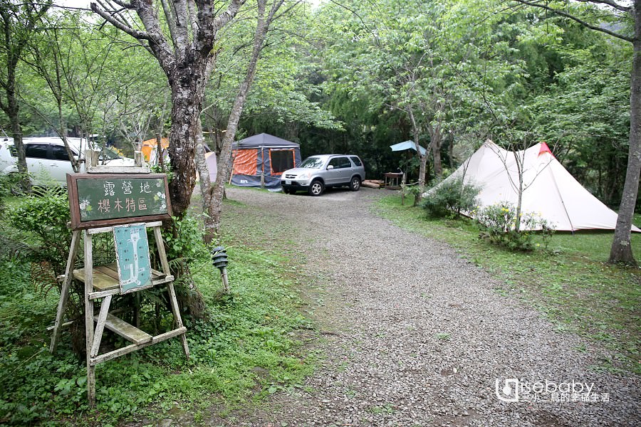 露營 | 苗栗南庄。青杉嶴露營區．清幽靜謐的森林感推薦營地