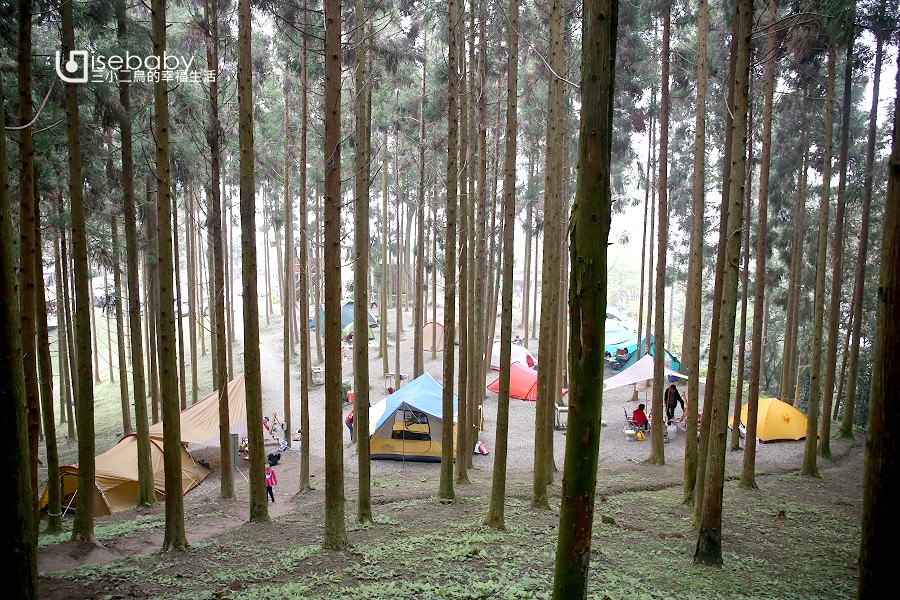 露營懶人包 台灣森林系露營區嚴選推薦