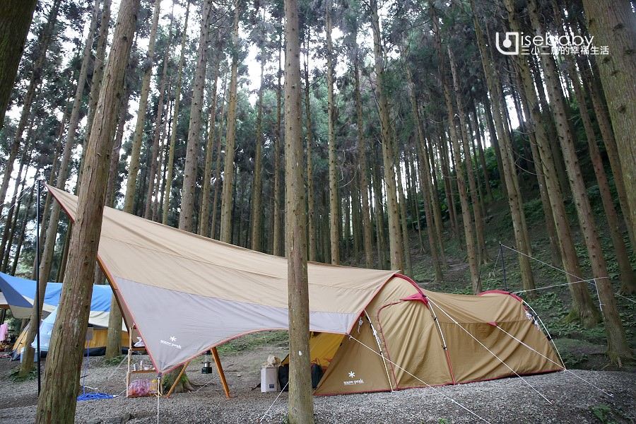 新竹露營區推薦 | 戈巴侖露營區．夢幻森林系營地