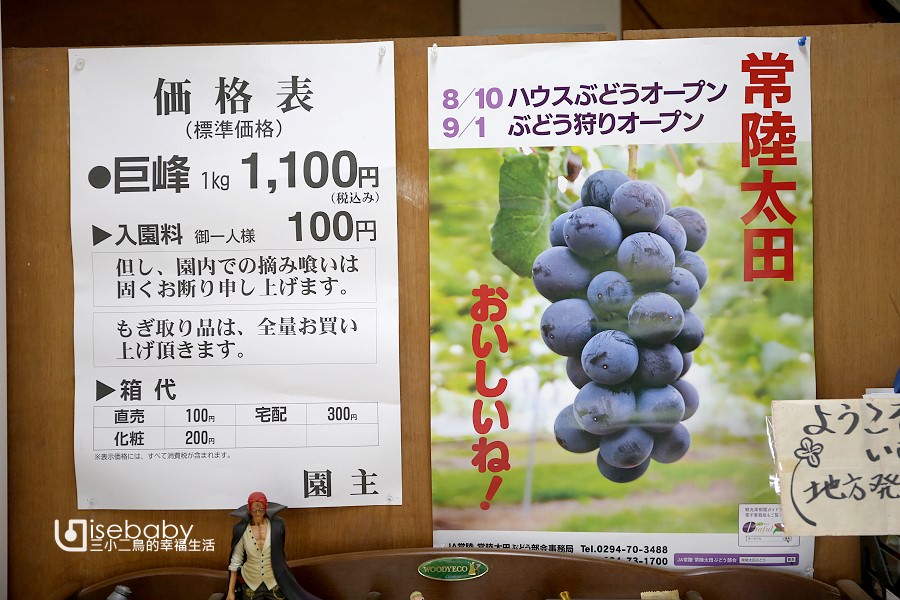 日本茨城常陸太田市採果體驗。檜山果實園