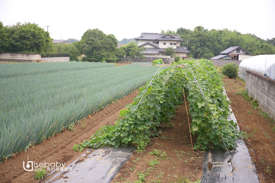 日本茨城常陸太田市農村體驗。常陸農園