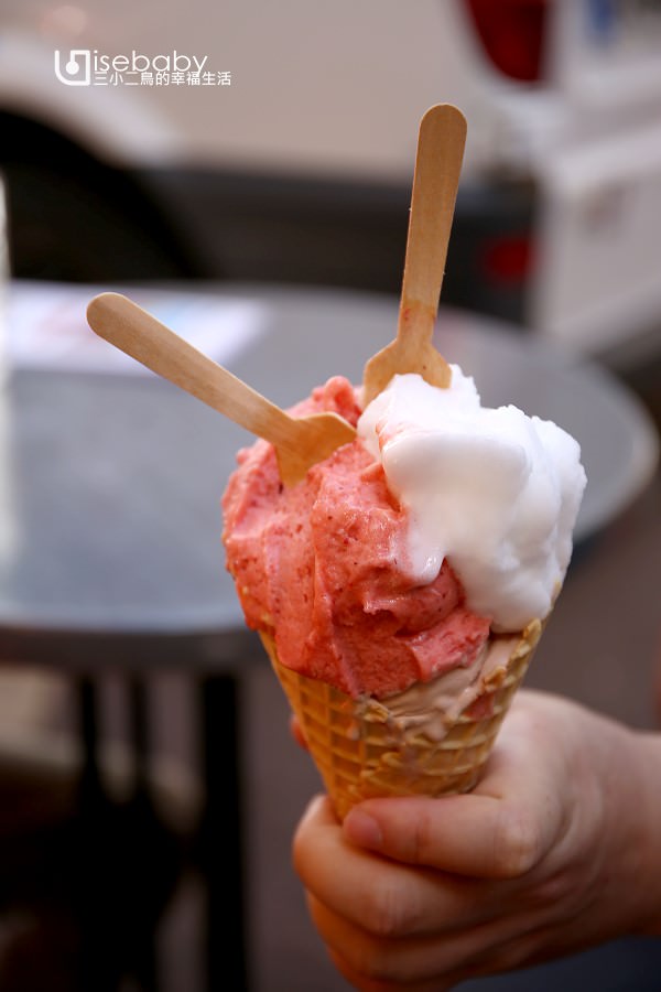 法國安錫美食 冰淇淋推薦Glacier des Alpes