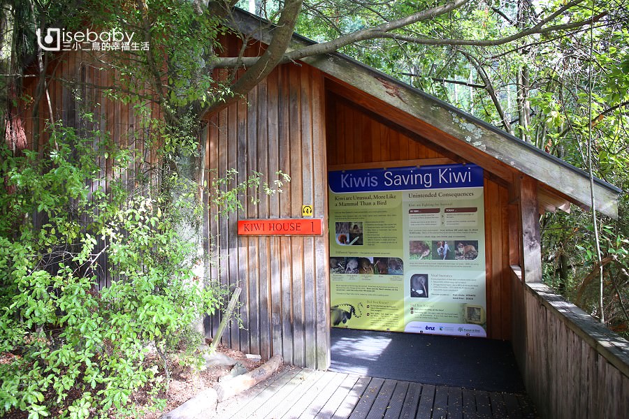 紐西蘭南島推薦景點 皇后鎮Kiwi Birdlife Park奇異鳥鳥類生態公園