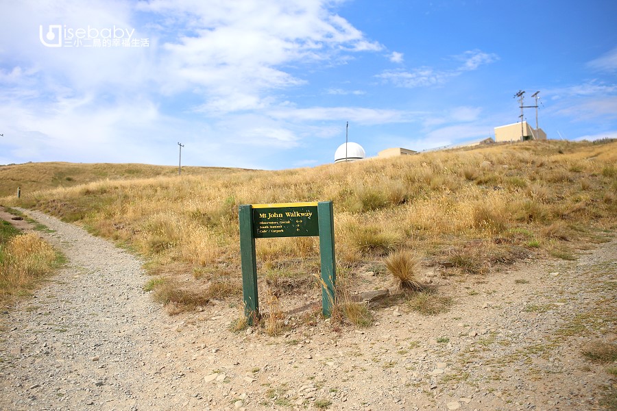 紐西蘭南島健行步道推薦 蒂卡波湖Mt John Summit Circuit Track