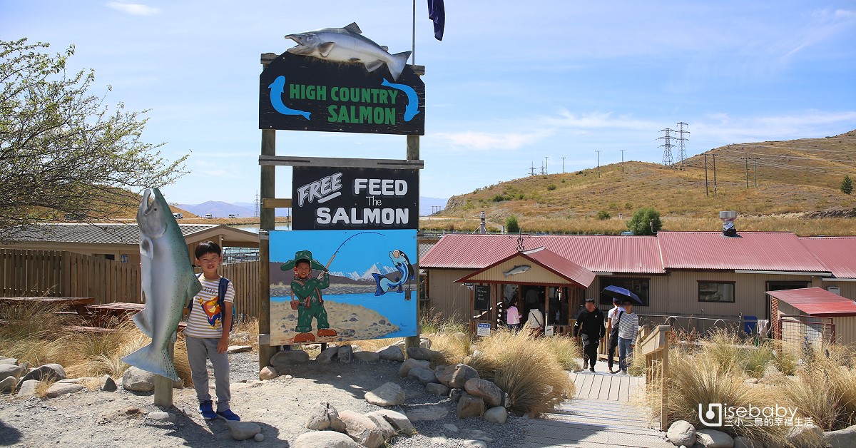 來去紐西蘭餵鮭魚！南島親子推薦景點High Country Salmon農場
