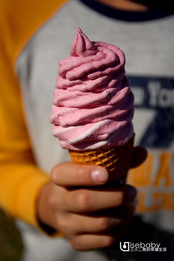 紐西蘭也有普羅旺斯薰衣草田！NZ Alpine Lavender農場冰淇淋推薦必吃