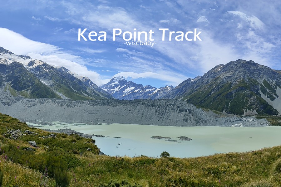 紐西蘭南島健行步道推薦．庫克山Kea Point Track步道