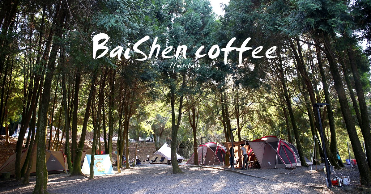 南投百勝村咖啡莊園，被咖啡樹環繞的森林系營地