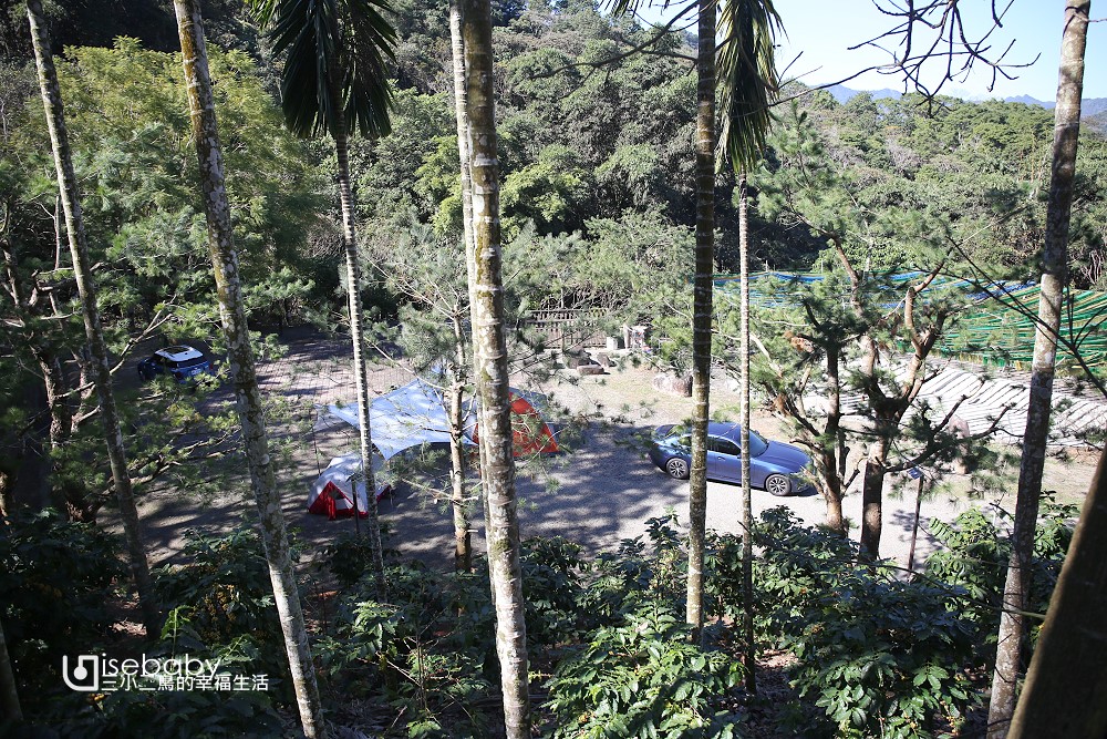 南投百勝村咖啡莊園，被咖啡樹環繞的森林系營地