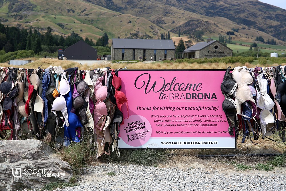 紐西蘭景點 Cardrona Bra Fence卡德羅納胸罩圍欄
