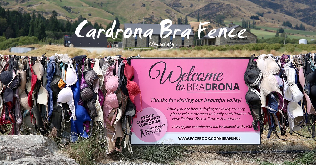 紐西蘭景點 Cardrona Bra Fence卡德羅納胸罩圍欄