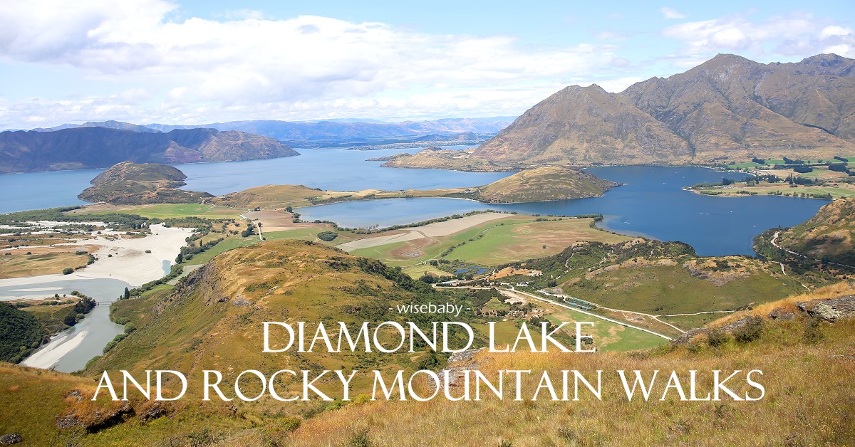 紐西蘭南島健行步道推薦 瓦納卡湖Diamond Lake and Rocky Mountain walks步道