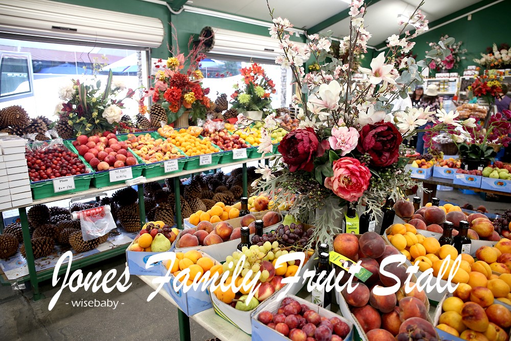 紐西蘭南島水果店Jones Family Fruit Stall 吃真材實料水果霜淇淋
