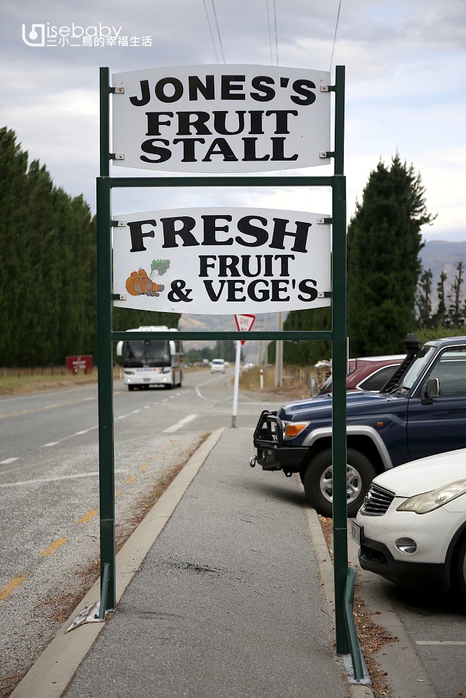 紐西蘭南島水果店Jones Family Fruit Stall 吃真材實料水果霜淇淋