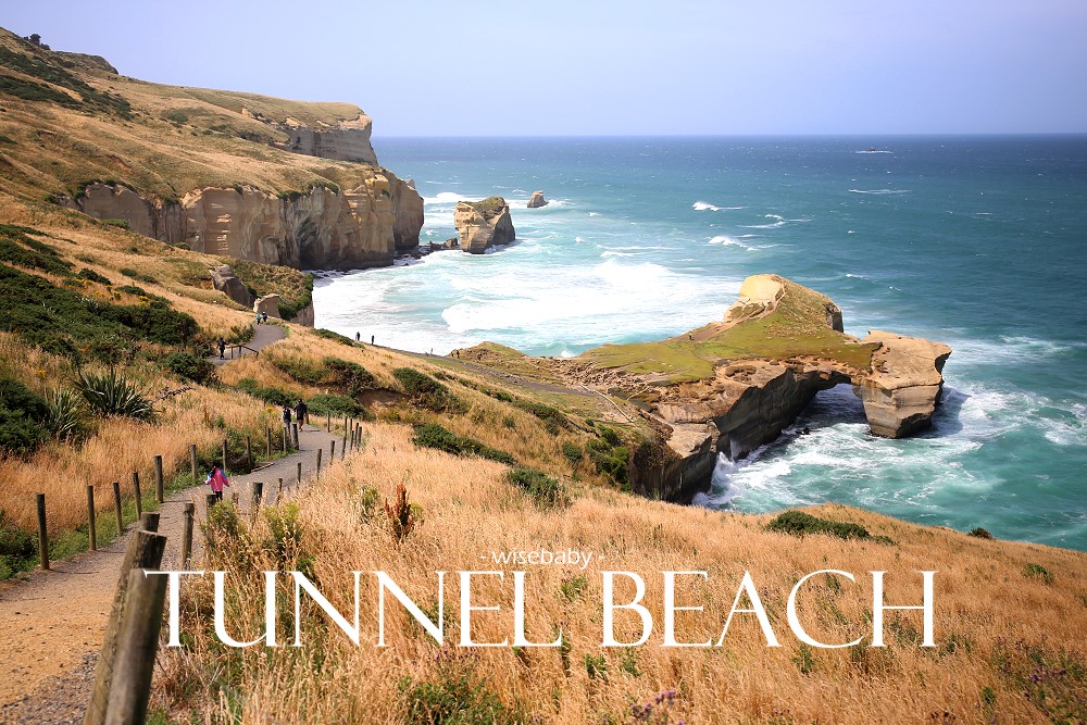 紐西蘭南島健行步道推薦 但尼丁Tunnel Beach Walking Track，要穿過隧道才能走到的祕境海灘