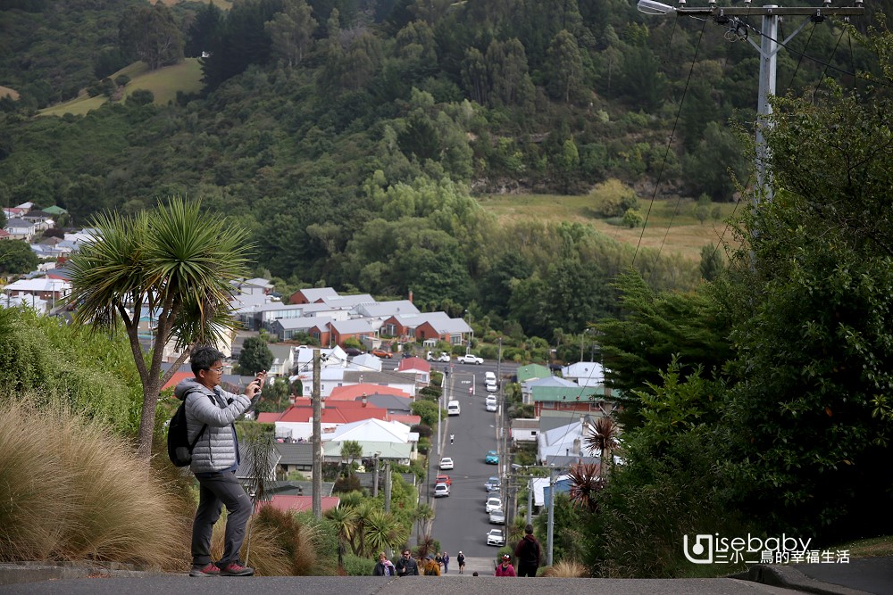 紐西蘭南島 金氏世界紀錄世界最陡的街道Baldwin Street鮑德溫街