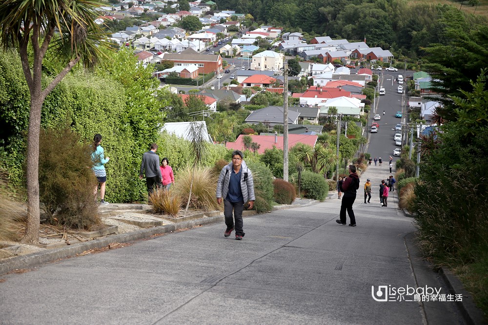 紐西蘭南島 金氏世界紀錄世界最陡的街道Baldwin Street鮑德溫街