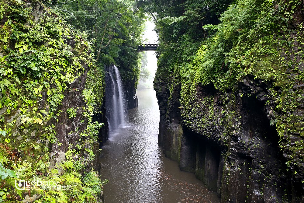 日本九州自由行攻略 7天九州行程懶人包。必去景點行程、美食、住宿總整理