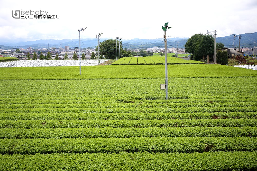 九州抺茶推薦行程 八女お茶村，必點一千日幣有找的抺茶巴菲甜點杯