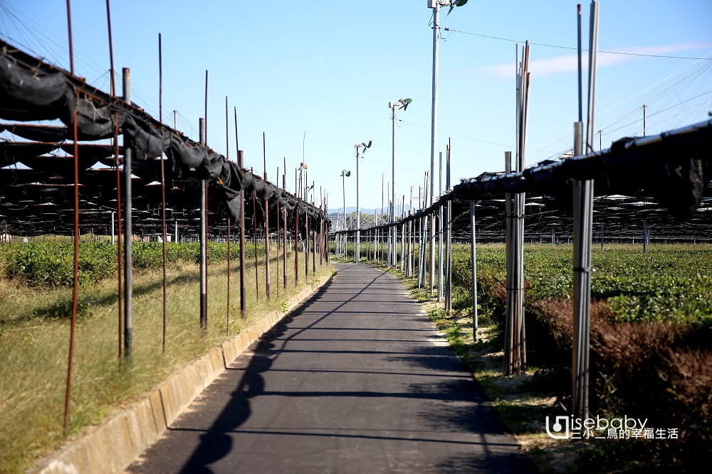 名古屋自由行攻略：6天名古屋懶人包．景點/行程/美食/住宿總整理